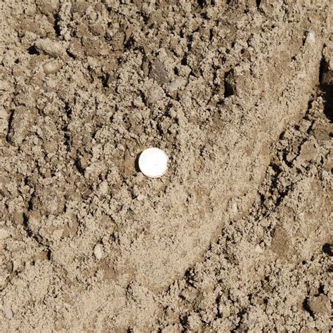 Image result for Fill Sand