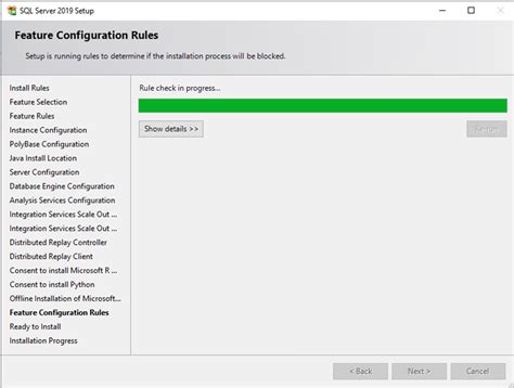 Image result for SQL Server 2019 Installation