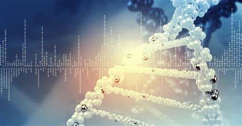 Image result for Evidence Against Evolution