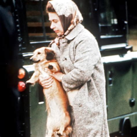 Queen Elizabeth's Iconic Behavior Included Ordering a…