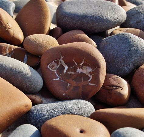 Types Of Rocks In Michigan Michigan Rocks! With Paul Brandes