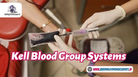 Kell Blood Group Systems