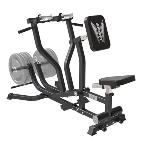 Image result for Seated Back Workout Machine