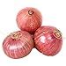 Premium Fresh Namdhari Onion, 5kg : Amazon.in: Grocery & Gourmet Foods