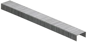 S.P. Richards Company Standard Staples, Chisel Point, 1/2-Inch W, 1/4 ...