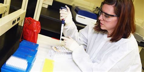 Image result for Food Sampling