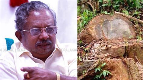 Muttil tree-felling; Accused Roji Augustine called staff of former ...
