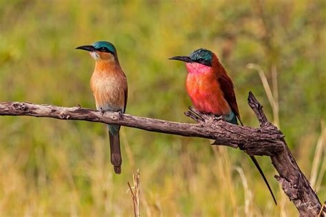 BOOTH ADVENTURE TRAVEL (2025) All You Need to Know BEFORE You Go (with ...