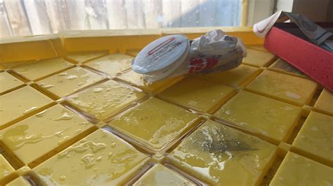 Image result for Spring Lock Incident