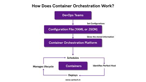 What is Container Orchestration? How It Works & Its Benefits