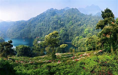 【携程攻略】肇庆鼎湖山景点,鼎湖山被称之为北回归线上唯一的绿洲，也被誉为北回归线上的绿宝石，…