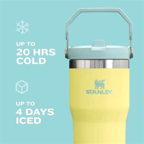 STANLEY IceFlow 2.0 Flip Straw Tumbler with Handle India | Ubuy