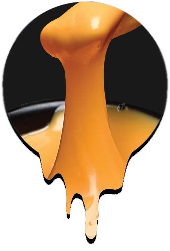 Best Processed Cheese Manufacturers | Top Dairy Product Company in ...