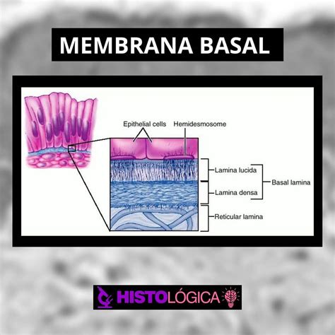 Image result for Informational Data Example