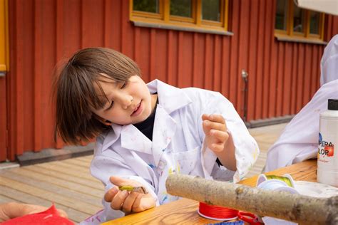 Skogens yokai, Djurgårdsbrunnsvägen 34, 11527 Stockholm, Sweden, 11 ...