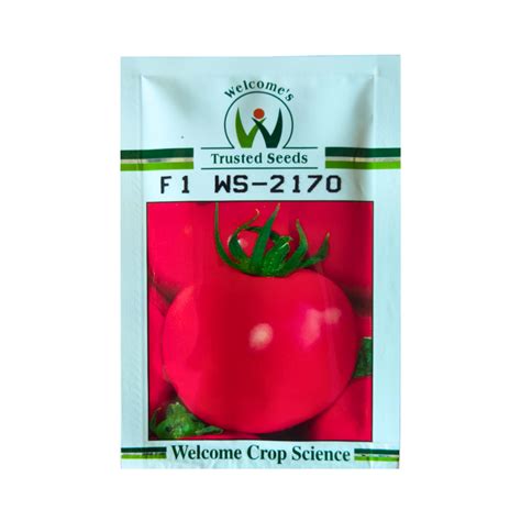 WS-2170 Tomato Seeds - Welcome | F1 Hybrid | Buy Online at Best Price ...