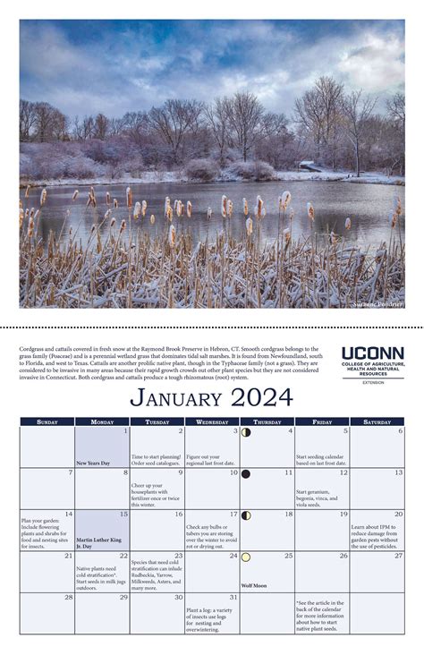 Uconn Calendar - Printable