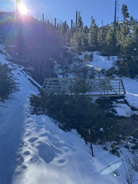 The Past and Future Box Clues, Facts, and Theories (There's Treasure ...