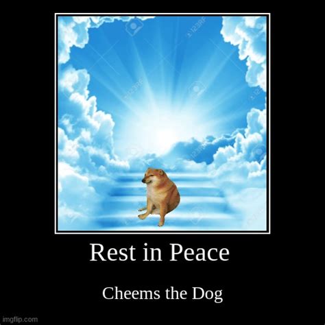 May he rest in peace - Imgflip