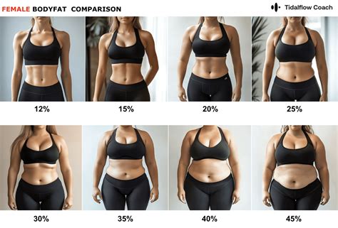From 25% to 15% Body Fat: Your Ultimate Guide to Fat Loss