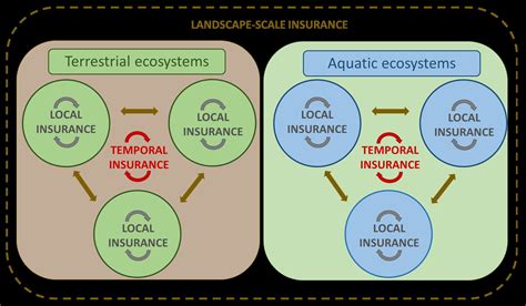 Three Levels Of Biodiversity Insurance: Species Dispersal ...