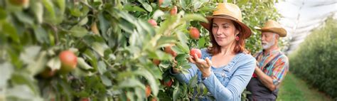 Image result for Comparing Life Insurance