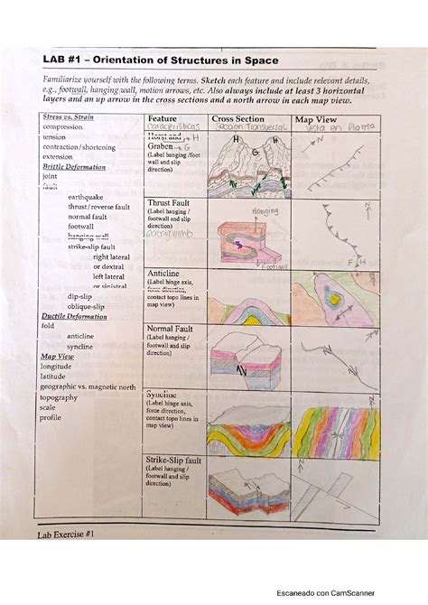 Image result for Structural Principles