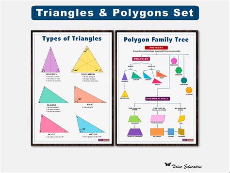 Types of Triangles Plus Polygons Poster Set, Printable Digital Poster ...
