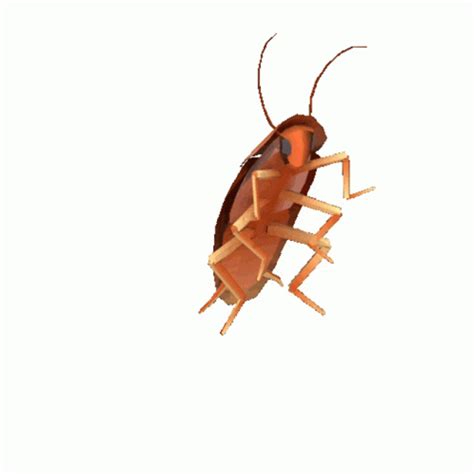 Cockroach Meme 的图像结果