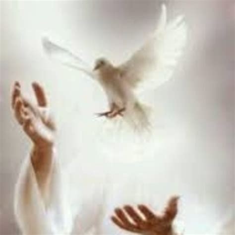 68 Recibid el Espiritu Santo San Juan 20,22 Hechos 1,8; 2,17-20 - ODA ...