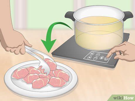 Image result for Cook Turtle