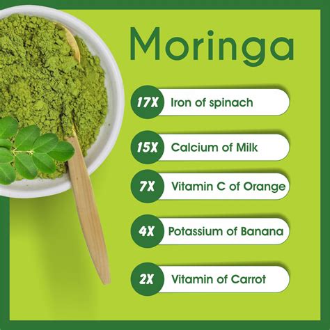 Moringa Tree Benefits For Health