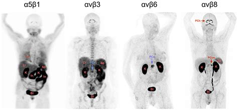 RGD Forever!—Past, Present, and Future of a 3-Letter-Code in ...