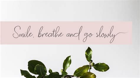 Script Birthday 的图像结果