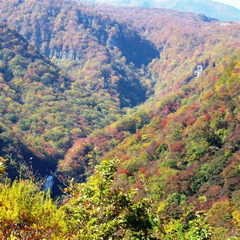 SANGAI FALL/FUDO FALL (2026) All You Need to Know BEFORE You Go (with ...