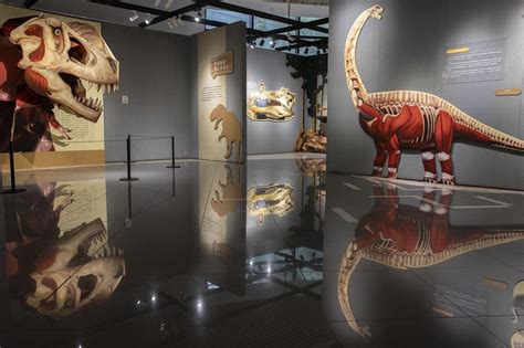 震撼！恐龙立体绘本变身沉浸式展览，就在市群艺馆