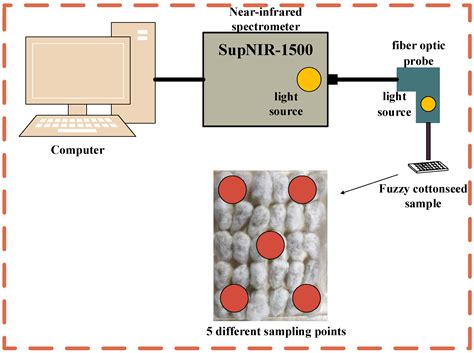 Rapid Detection of Protein Content in Fuzzy Cottonseeds Using Portable ...