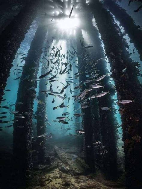 Awesome Pictures You Shouldn’t Miss #58 | KLYKER.COM