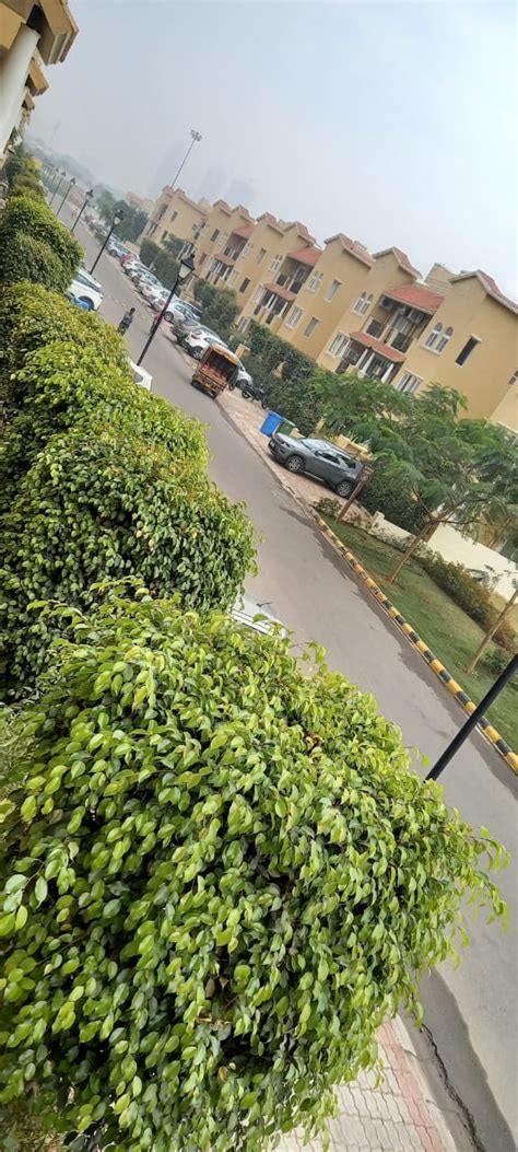 2 BHK Flats for Sale in Emaar MGF Emerald Hills Sector 65, Gurgaon