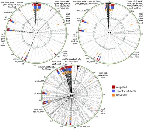 Image result for Pathogenicity Islands