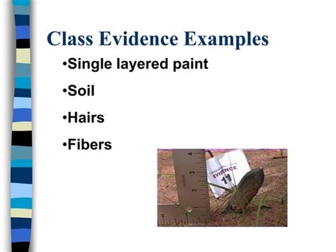 Image result for Evidence Collection Techniques