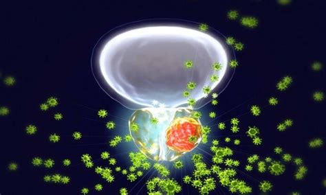 Improved PET imaging can detect prostate cancer cells that Have Spread ...