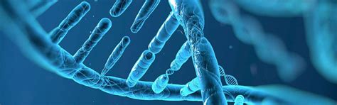 DEEPKAMAL Health Services Private Limited - Leading Pharmaceutical ...