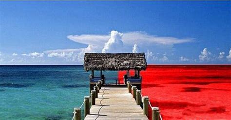 红海海水,红海蓝海,过红海_大山谷图库