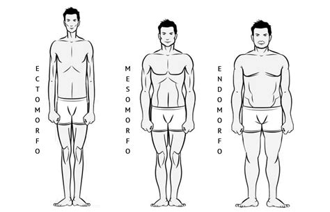 ¿Qué tipo de cuerpo tengo? | Asesoría de Imagen para Hombre | Asesoría ...
