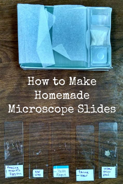 Image result for How to Make a Microscope at Home