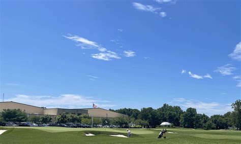 Boasting about removing large trees is par for the course with the ...