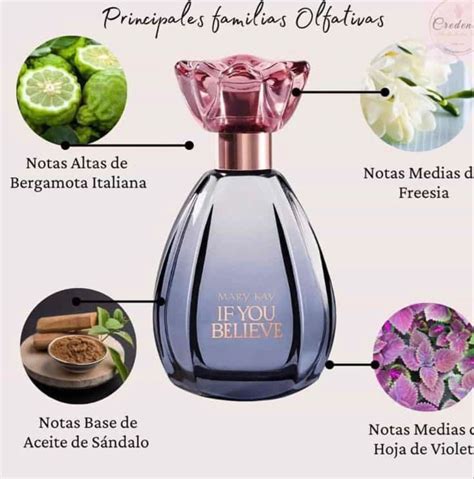 NUEVA FRAGANCIA | Produtos mary kay, Perfume mary kay, Mary kay