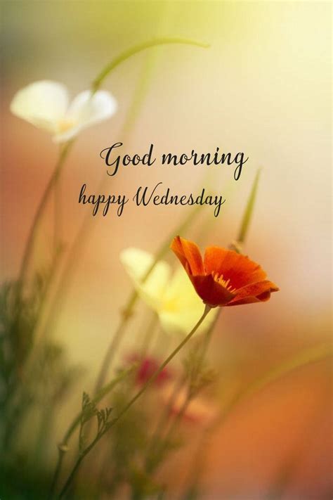 Download Good Morning Happy Wednesday Aesthetic Wallpaper | Wallpapers.com