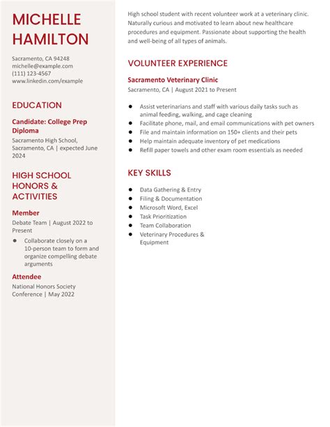 Image result for Sample Student Resume Examples